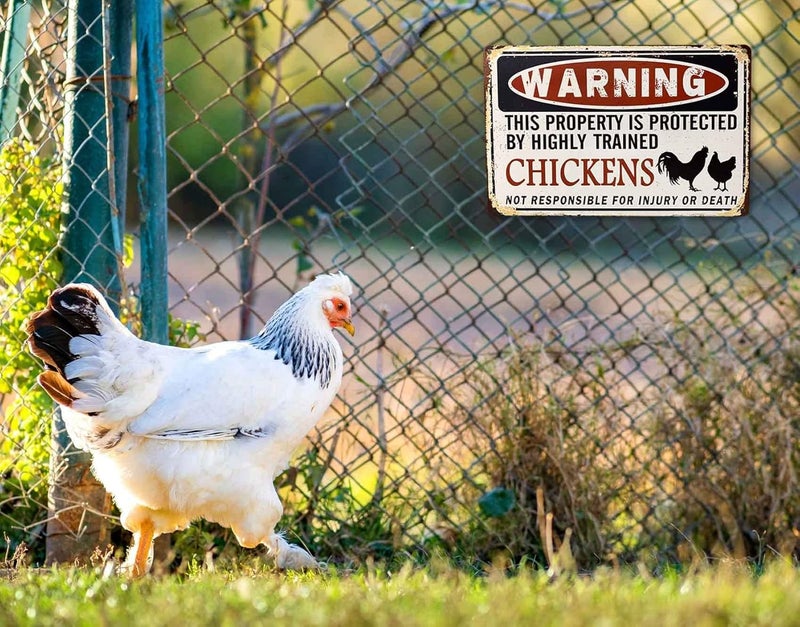 Bestylez Funny Chicken Coop Sign - "Warning: Property Protected by Chickens" Decorative Metal Sign for Farm, Home, or Garden 12" * 8" (219) - Image 3